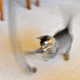 Image for article titled Motion Gallery 2